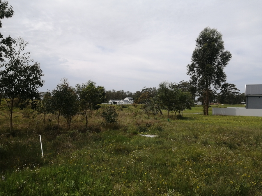 3 Bedroom Property for Sale in Wedgewood Golf Estate Eastern Cape